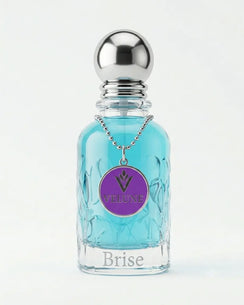 BRISE