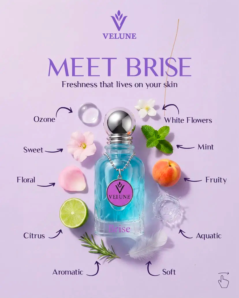 BRISE